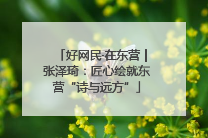 好网民·在东营｜张泽琦：匠心绘就东营“诗与远方”