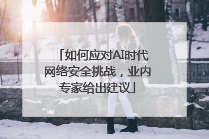 如何应对AI时代网络安全挑战，业内专家给出建议