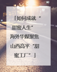如何成就“甜蜜人生” 海外华媒聚焦山西高平“甜蜜工厂”