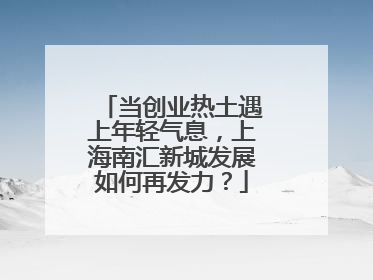 当创业热土遇上年轻气息，上海南汇新城发展如何再发力？