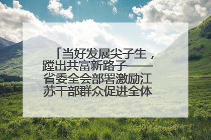 当好发展尖子生，蹚出共富新路子——省委全会部署激励江苏干部群众促进全体人民共同富裕