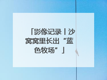 影像记录丨沙窝窝里长出“蓝色牧场”