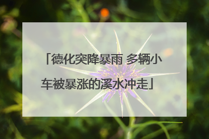 德化突降暴雨 多辆小车被暴涨的溪水冲走