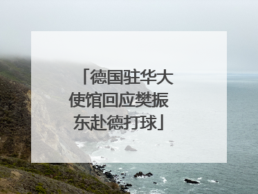 德国驻华大使馆回应樊振东赴德打球