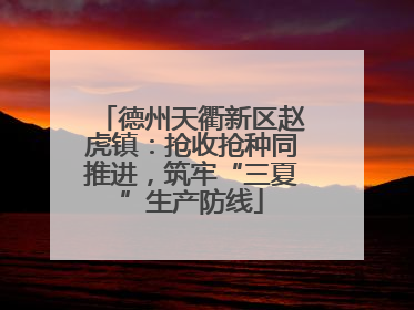 德州天衢新区赵虎镇：抢收抢种同推进，筑牢“三夏”生产防线