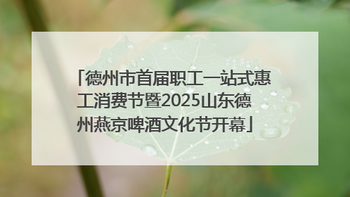 德州市首届职工一站式惠工消费节暨2025山东德州燕京啤酒文化节开幕