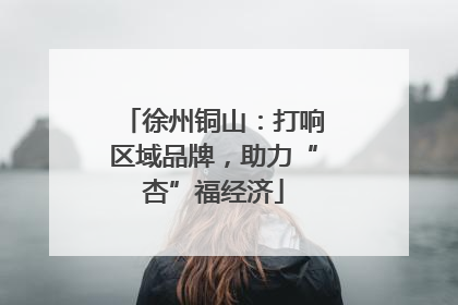 徐州铜山：打响区域品牌，助力“杏”福经济