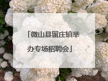 微山县留庄镇举办专场招聘会