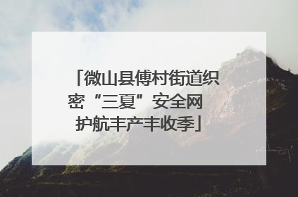 微山县傅村街道织密“三夏”安全网 护航丰产丰收季