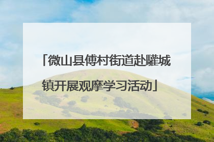 微山县傅村街道赴驩城镇开展观摩学习活动