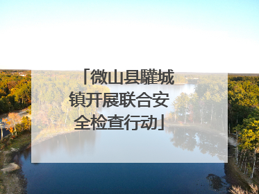 微山县驩城镇开展联合安全检查行动