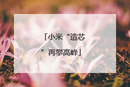 小米“造芯”再攀高峰