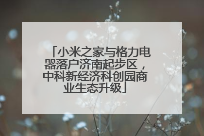 小米之家与格力电器落户济南起步区，中科新经济科创园商业生态升级