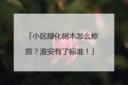 小区绿化树木怎么修剪？淮安有了标准！