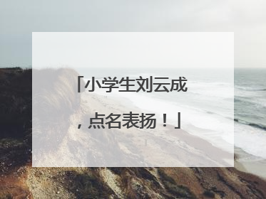 小学生刘云成，点名表扬！