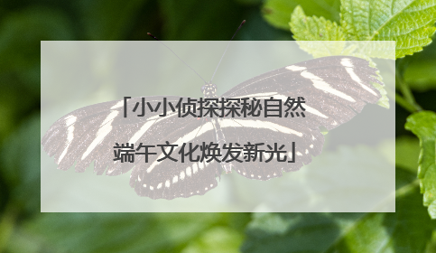 小小侦探探秘自然 端午文化焕发新光