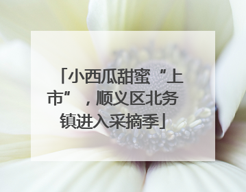 小西瓜甜蜜“上市”，顺义区北务镇进入采摘季