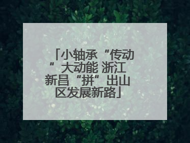 小轴承“传动”大动能 浙江新昌“拼”出山区发展新路
