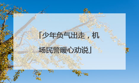 少年负气出走，机场民警暖心劝说