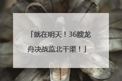 就在明天！36艘龙舟决战监北干渠！