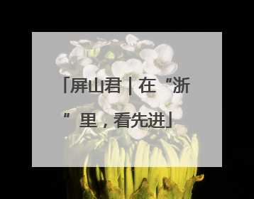 屏山君｜在“浙”里，看先进