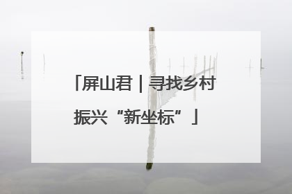 屏山君｜寻找乡村振兴“新坐标”