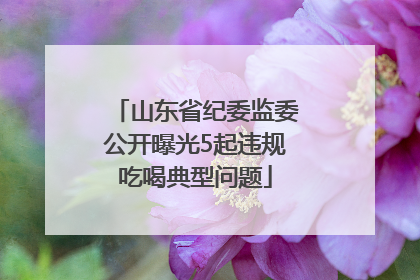 山东省纪委监委公开曝光5起违规吃喝典型问题