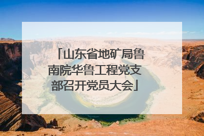 山东省地矿局鲁南院华鲁工程党支部召开党员大会