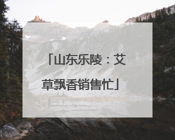山东乐陵：艾草飘香销售忙
