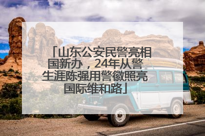山东公安民警亮相国新办，24年从警生涯陈强用警徽照亮国际维和路