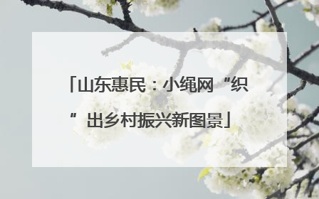 山东惠民：小绳网“织”出乡村振兴新图景