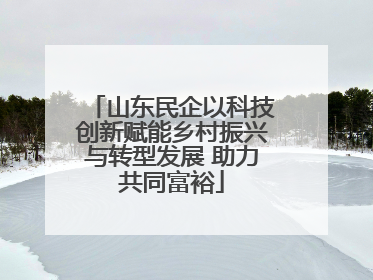 山东民企以科技创新赋能乡村振兴与转型发展 助力共同富裕