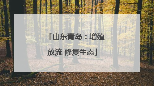 山东青岛：增殖放流 修复生态