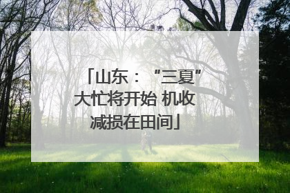山东：“三夏”大忙将开始 机收减损在田间