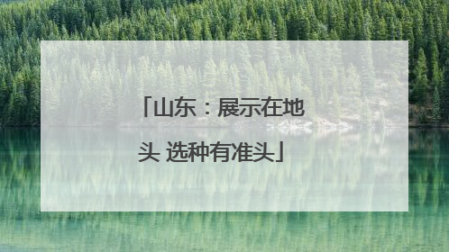 山东：展示在地头 选种有准头