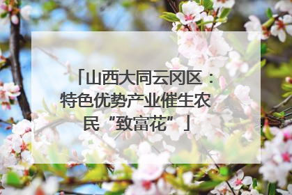山西大同云冈区：特色优势产业催生农民“致富花”