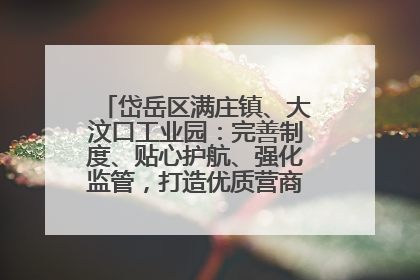 岱岳区满庄镇、大汶口工业园：完善制度、贴心护航、强化监管，打造优质营商“强磁场”