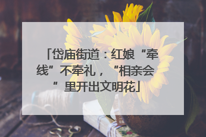 岱庙街道：红娘“牵线”不牵礼，“相亲会”里开出文明花