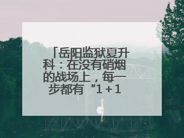 岳阳监狱夏升科：在没有硝烟的战场上，每一步都有“1＋1＝2”的笃定