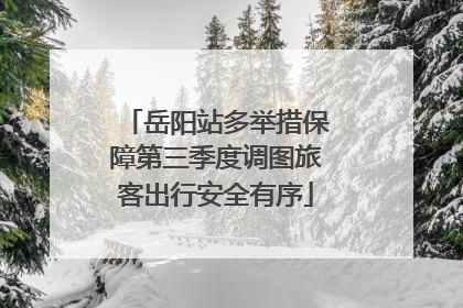 岳阳站多举措保障第三季度调图旅客出行安全有序