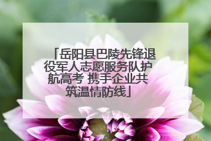 岳阳县巴陵先锋退役军人志愿服务队护航高考 携手企业共筑温情防线