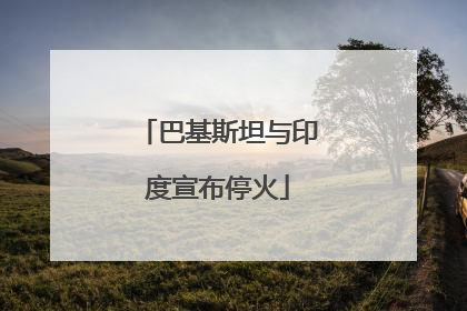 巴基斯坦与印度宣布停火