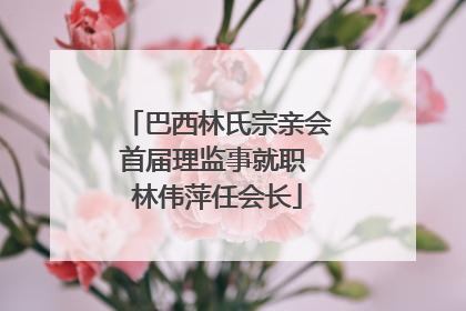 巴西林氏宗亲会首届理监事就职 林伟萍任会长