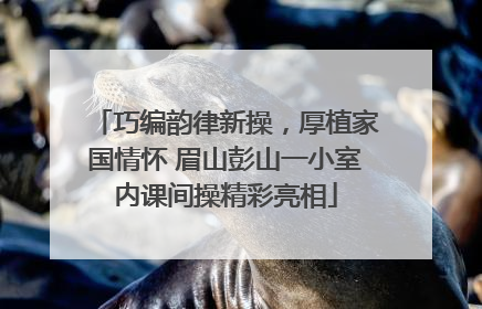 巧编韵律新操，厚植家国情怀 眉山彭山一小室内课间操精彩亮相