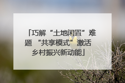 巧解“土地闲置”难题 “共享模式”激活乡村振兴新动能