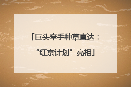 巨头牵手种草直达：“红京计划”亮相