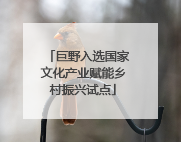 巨野入选国家文化产业赋能乡村振兴试点