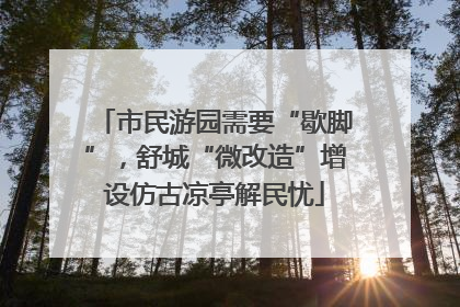 市民游园需要“歇脚”，舒城“微改造”增设仿古凉亭解民忧