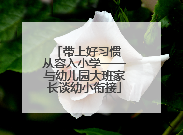 带上好习惯 从容入小学——与幼儿园大班家长谈幼小衔接