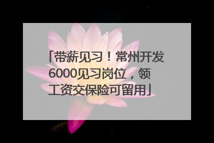 带薪见习！常州开发6000见习岗位，领工资交保险可留用